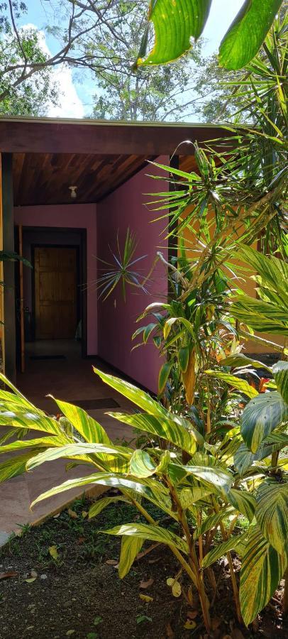 Ciudad Perdida Ecolodge Cahuita Extérieur photo
