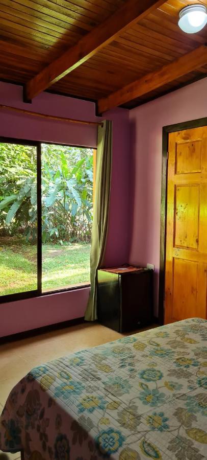 Ciudad Perdida Ecolodge Cahuita Extérieur photo