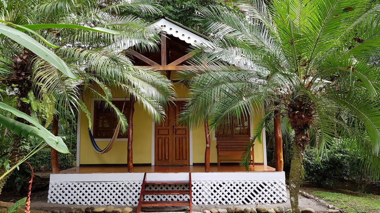 Ciudad Perdida Ecolodge Cahuita Extérieur photo