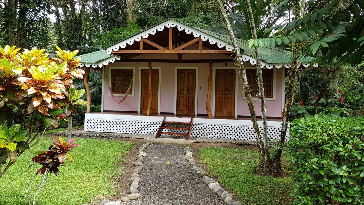 Ciudad Perdida Ecolodge Cahuita Extérieur photo