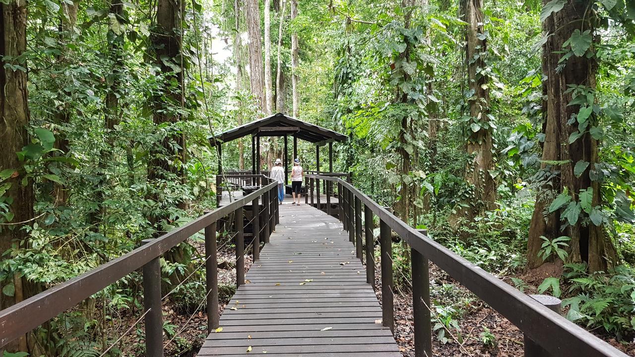 Ciudad Perdida Ecolodge Cahuita Extérieur photo
